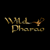 Wildpharao