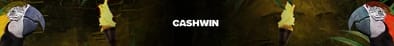 Cashwin casino fr